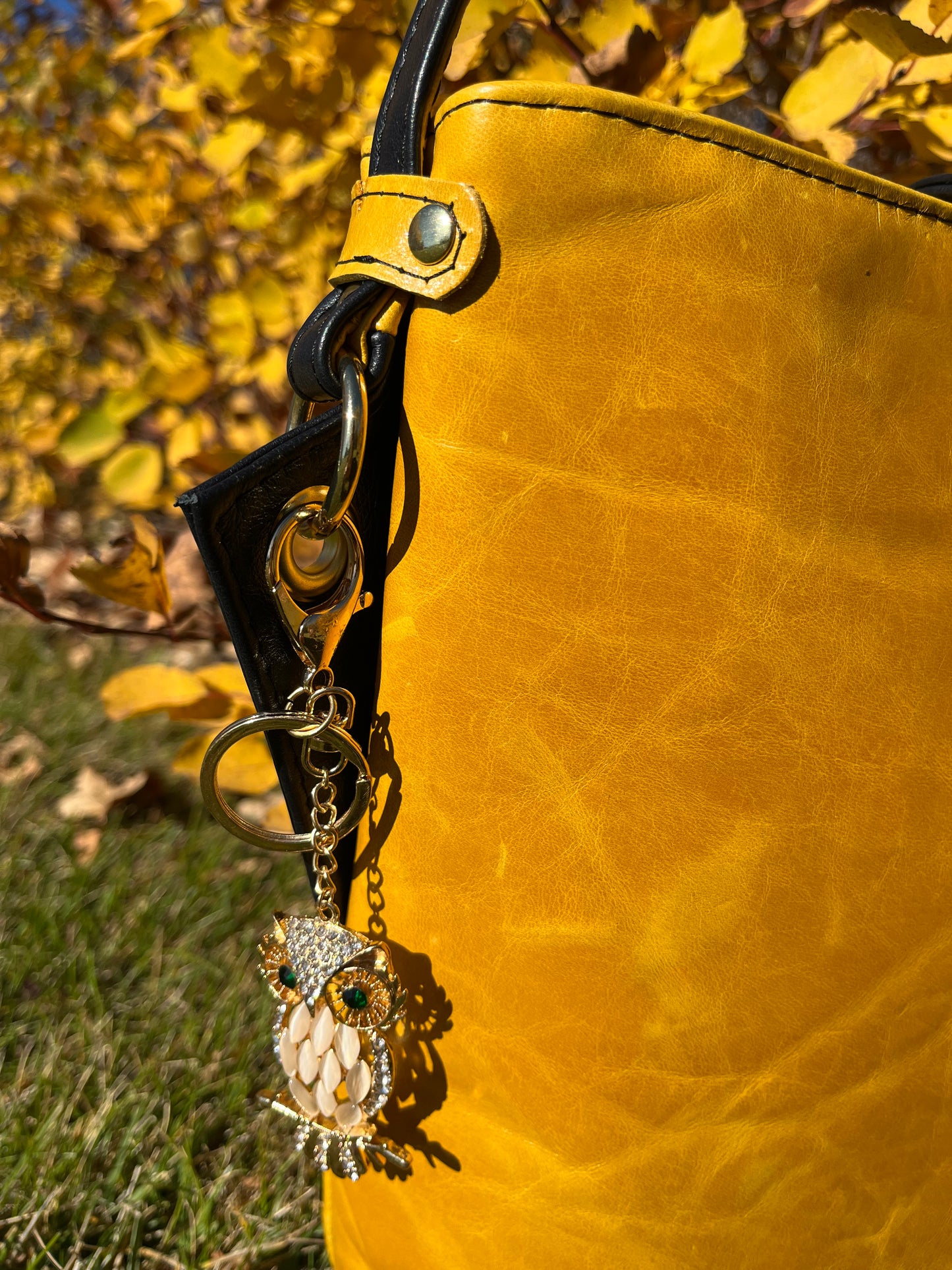 Mustard and Navy Blue Leather Purse