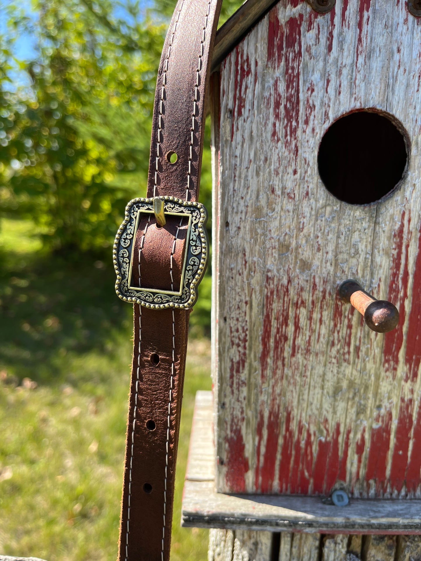 Longhorn Leather Crossbody Purse